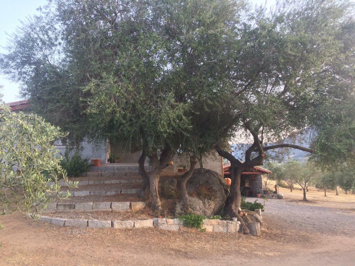 فيلا S'Umbra De S'Ozzastru أورغوسولو المظهر الخارجي الصورة