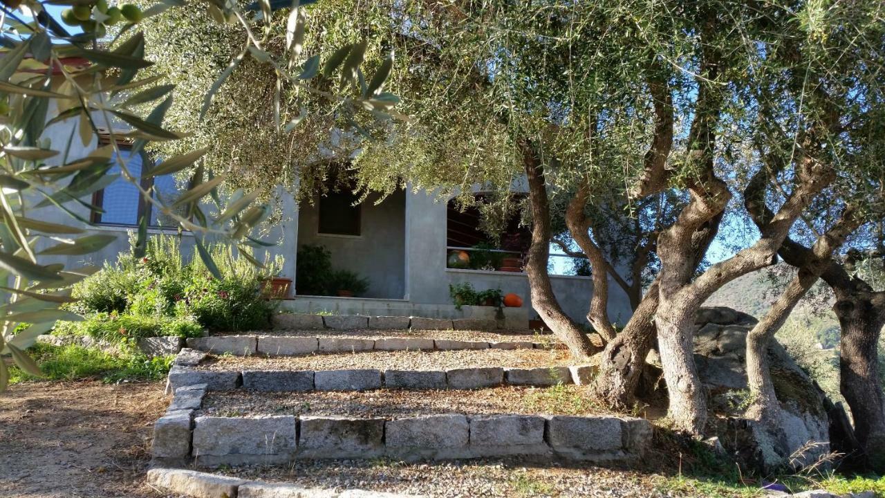 فيلا S'Umbra De S'Ozzastru أورغوسولو المظهر الخارجي الصورة